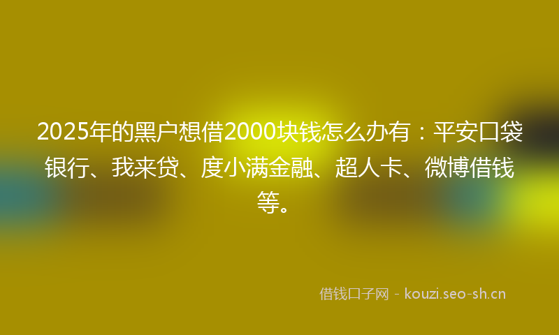 2025年的黑户想借2000块钱怎么办有：平安口袋银行、我来贷、度小满金融、超人卡、微博借钱等。