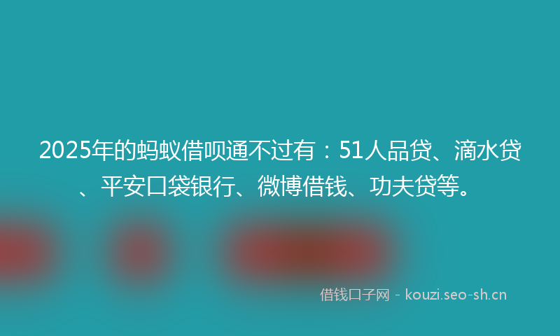 2025年的蚂蚁借呗通不过有:51人品贷、滴水贷、平安口袋银行、微博借钱、功夫贷等。