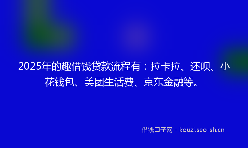 2025年的趣借钱贷款流程有：拉卡拉、还呗、小花钱包、美团生活费、京东金融等。