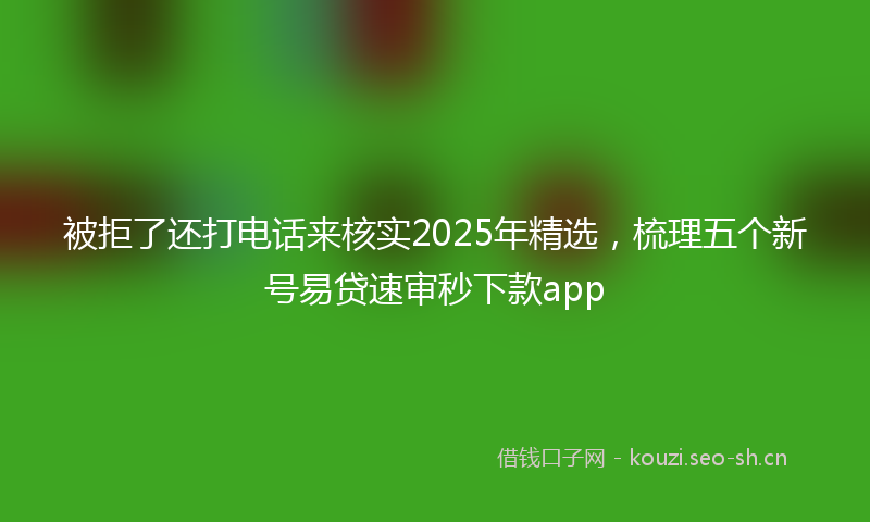 被拒了还打电话来核实2025年精选，梳理五个新号易贷速审秒下款app