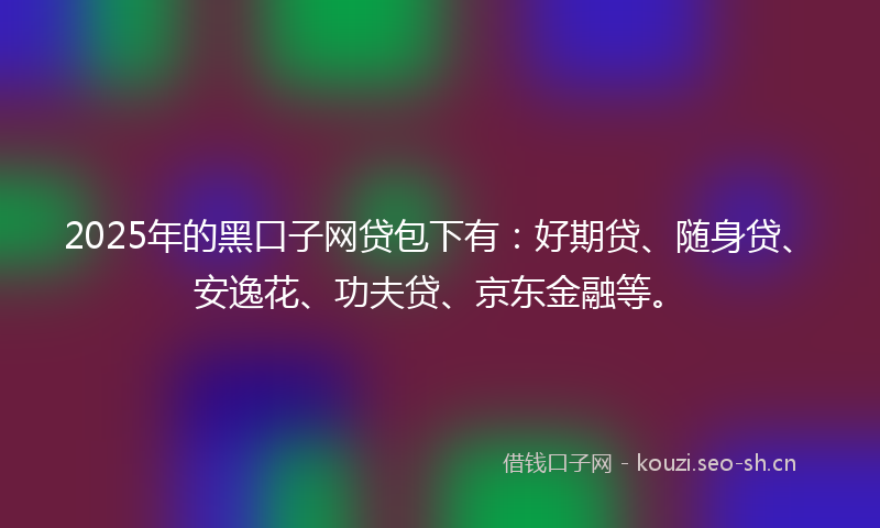 2025年的黑口子网贷包下有：好期贷、随身贷、安逸花、功夫贷、京东金融等。