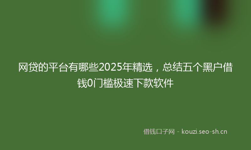 网贷的平台有哪些2025年精选，总结五个黑户借钱0门槛极速下款软件
