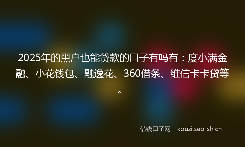 2025年的黑户也能贷款的口子有吗有：度小满金融、小花钱包、融逸花、360借条、维信卡卡贷等。