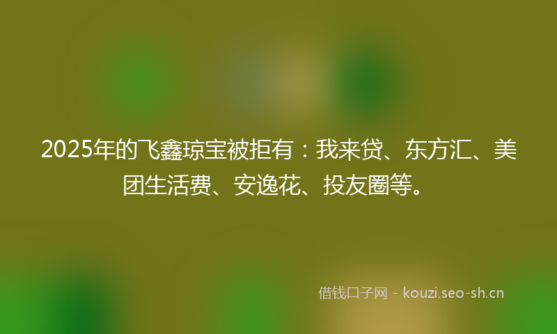 2025年的飞鑫琼宝被拒有：我来贷、东方汇、美团生活费、安逸花、投友圈等。