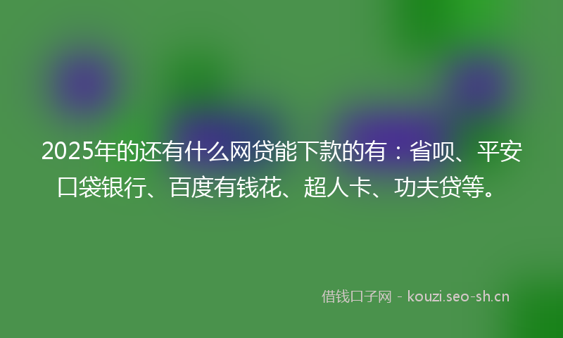 2025年的还有什么网贷能下款的有：省呗、平安口袋银行、百度有钱花、超人卡、功夫贷等。