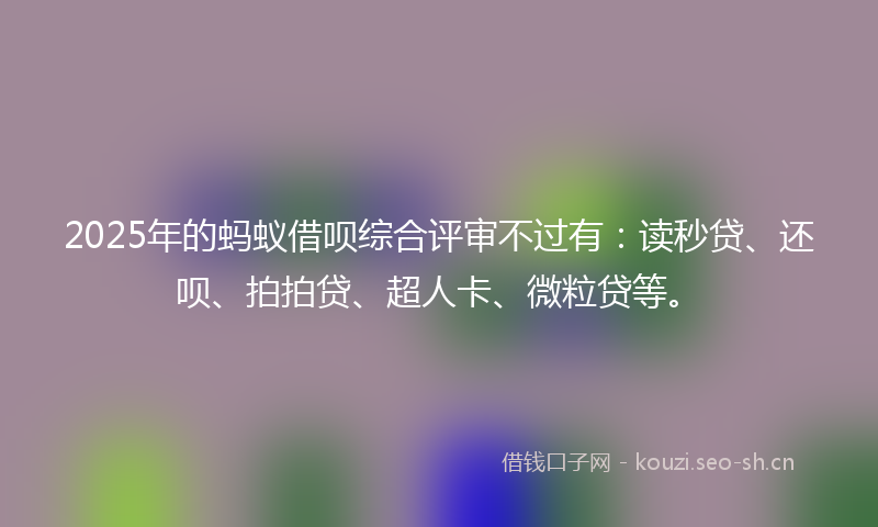 2025年的蚂蚁借呗综合评审不过有：读秒贷、还呗、拍拍贷、超人卡、微粒贷等。
