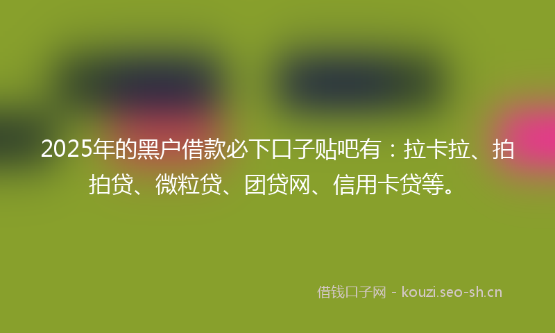 2025年的黑户借款必下口子贴吧有：拉卡拉、拍拍贷、微粒贷、团贷网、信用卡贷等。