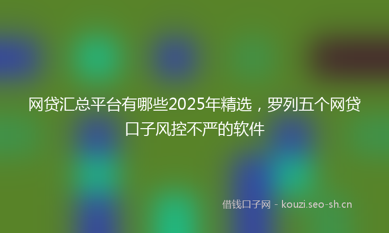 网贷汇总平台有哪些2025年精选，罗列五个网贷口子风控不严的软件