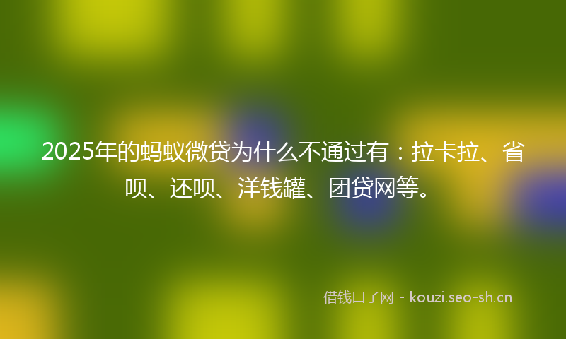 2025年的蚂蚁微贷为什么不通过有：拉卡拉、省呗、还呗、洋钱罐、团贷网等。