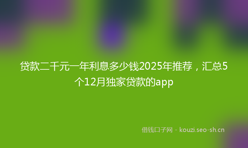 贷款二千元一年利息多少钱2025年推荐，汇总5个12月独家贷款的app