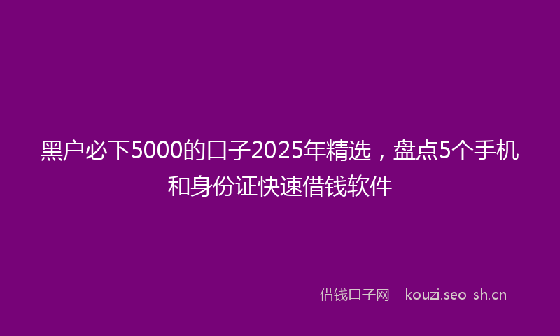 黑户必下5000的口子2025年精选，盘点5个手机和身份证快速借钱软件