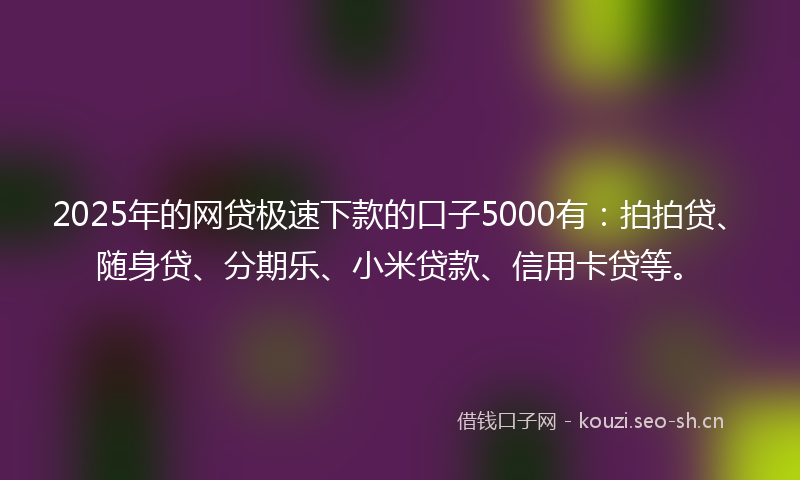 2025年的网贷极速下款的口子5000有：拍拍贷、随身贷、分期乐、小米贷款、信用卡贷等。