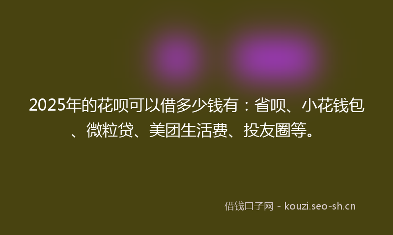 2025年的花呗可以借多少钱有：省呗、小花钱包、微粒贷、美团生活费、投友圈等。