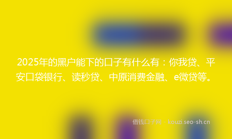 2025年的黑户能下的口子有什么有：你我贷、平安口袋银行、读秒贷、中原消费金融、e微贷等。
