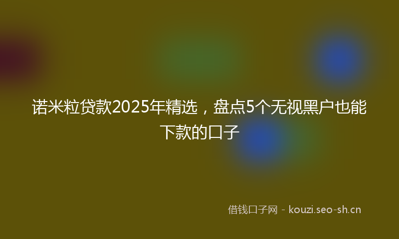 诺米粒贷款2025年精选，盘点5个无视黑户也能下款的口子