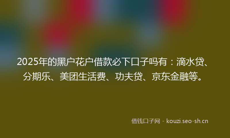 2025年的黑户花户借款必下口子吗有：滴水贷、分期乐、美团生活费、功夫贷、京东金融等。