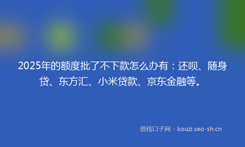2025年的额度批了不下款怎么办有：还呗、随身贷、东方汇、小米贷款、京东金融等。