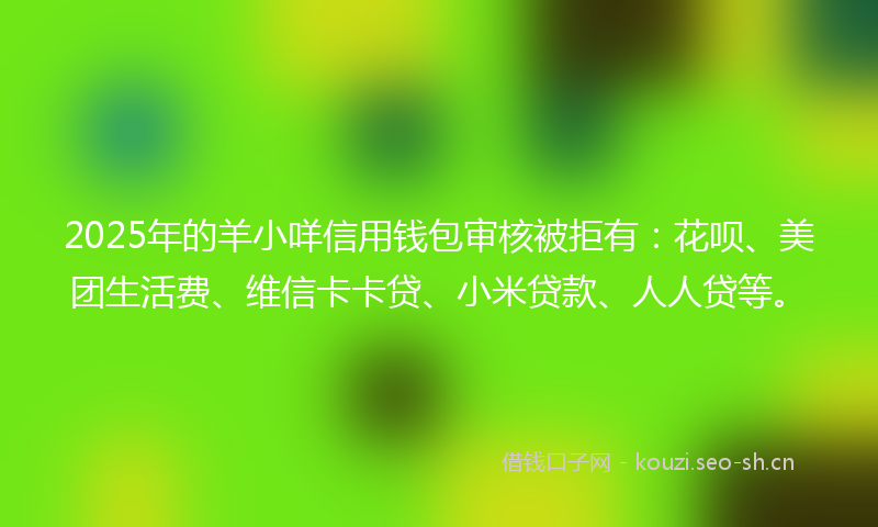 2025年的羊小咩信用钱包审核被拒有：花呗、美团生活费、维信卡卡贷、小米贷款、人人贷等。