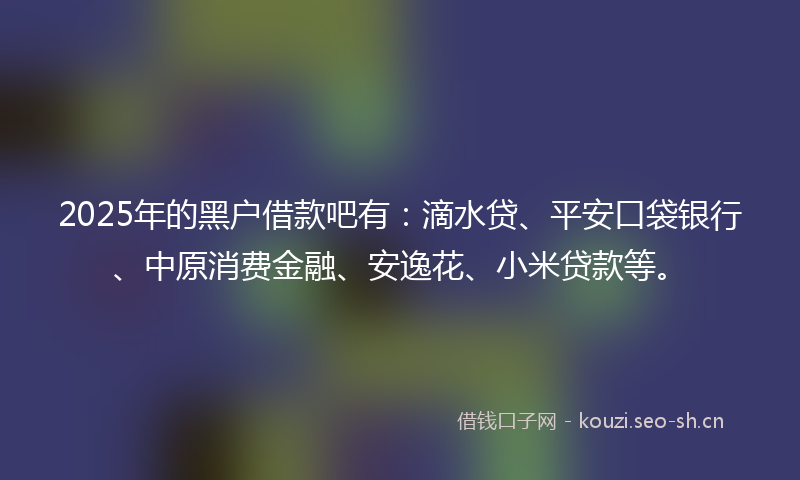 2025年的黑户借款吧有：滴水贷、平安口袋银行、中原消费金融、安逸花、小米贷款等。