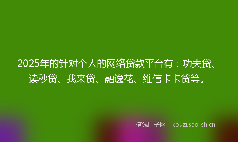 2025年的针对个人的网络贷款平台有：功夫贷、读秒贷、我来贷、融逸花、维信卡卡贷等。
