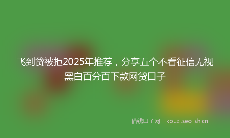 飞到贷被拒2025年推荐，分享五个不看征信无视黑白百分百下款网贷口子