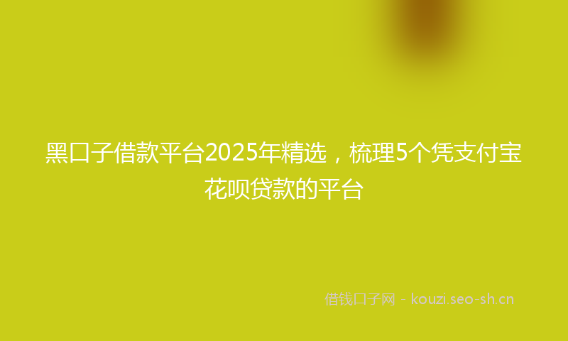 黑口子借款平台2025年精选，梳理5个凭支付宝花呗贷款的平台