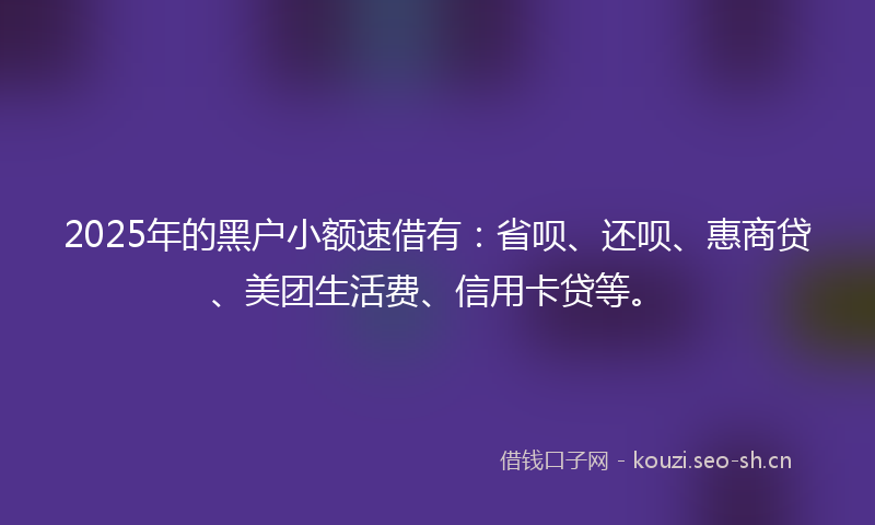 2025年的黑户小额速借有：省呗、还呗、惠商贷、美团生活费、信用卡贷等。