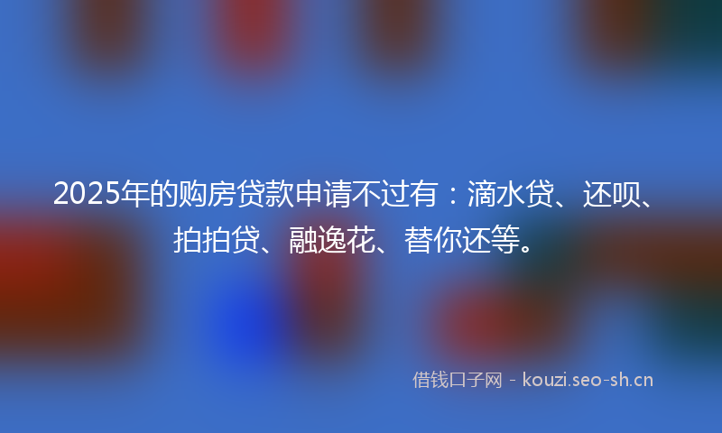 2025年的购房贷款申请不过有：滴水贷、还呗、拍拍贷、融逸花、替你还等。