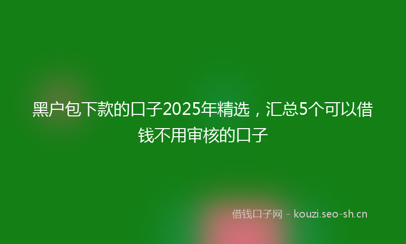 黑户包下款的口子2025年精选，汇总5个可以借钱不用审核的口子