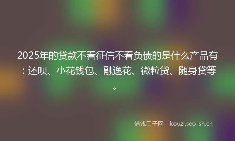 2025年的贷款不看征信不看负债的是什么产品有：还呗、小花钱包、融逸花、微粒贷、随身贷等。