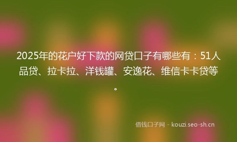 2025年的花户好下款的网贷口子有哪些有：51人品贷、拉卡拉、洋钱罐、安逸花、维信卡卡贷等。
