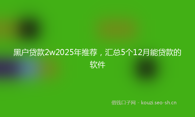 黑户贷款2w2025年推荐，汇总5个12月能贷款的软件
