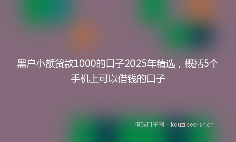 黑户小额贷款1000的口子2025年精选，概括5个手机上可以借钱的口子