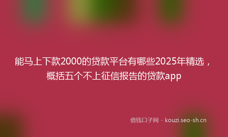 能马上下款2000的贷款平台有哪些2025年精选，概括五个不上征信报告的贷款app