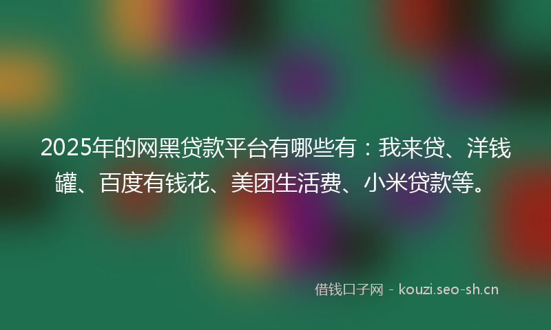2025年的网黑贷款平台有哪些有：我来贷、洋钱罐、百度有钱花、美团生活费、小米贷款等。