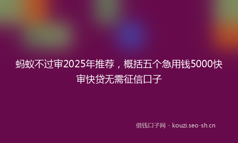 蚂蚁不过审2025年推荐，概括五个急用钱5000快审快贷无需征信口子