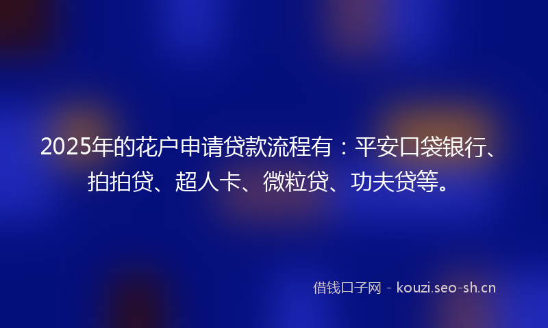 2025年的花户申请贷款流程有：平安口袋银行、拍拍贷、超人卡、微粒贷、功夫贷等。
