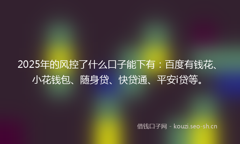 2025年的风控了什么口子能下有：百度有钱花、小花钱包、随身贷、快贷通、平安i贷等。