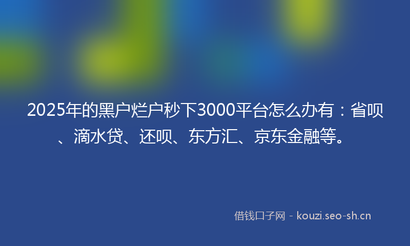 2025年的黑户烂户秒下3000平台怎么办有：省呗、滴水贷、还呗、东方汇、京东金融等。