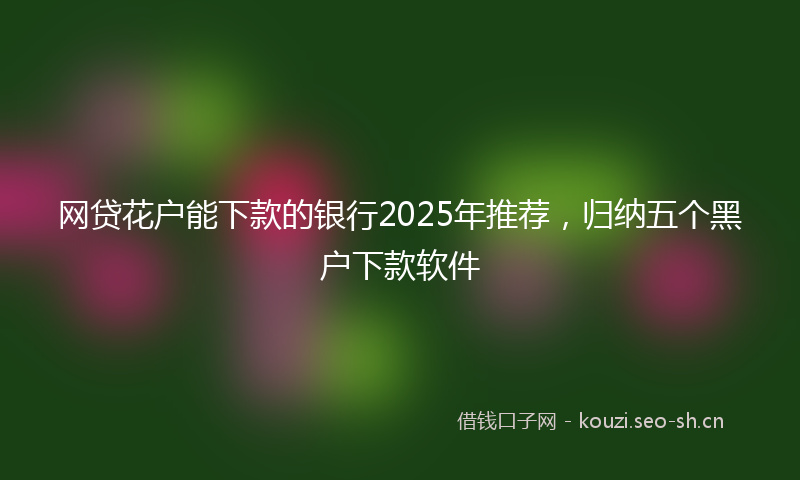 网贷花户能下款的银行2025年推荐，归纳五个黑户下款软件