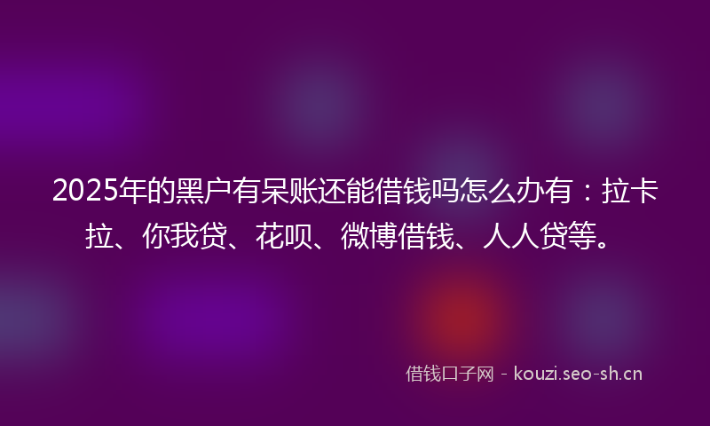 2025年的黑户有呆账还能借钱吗怎么办有：拉卡拉、你我贷、花呗、微博借钱、人人贷等。