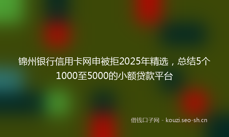 锦州银行信用卡网申被拒2025年精选，总结5个1000至5000的小额贷款平台