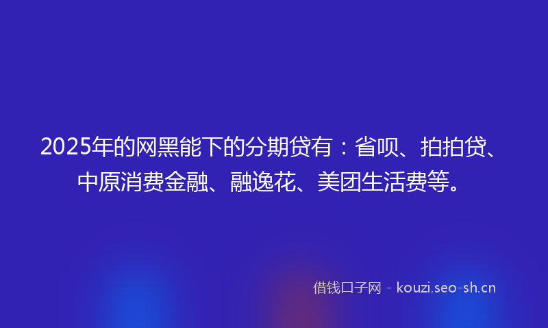 2025年的网黑能下的分期贷有：省呗、拍拍贷、中原消费金融、融逸花、美团生活费等。