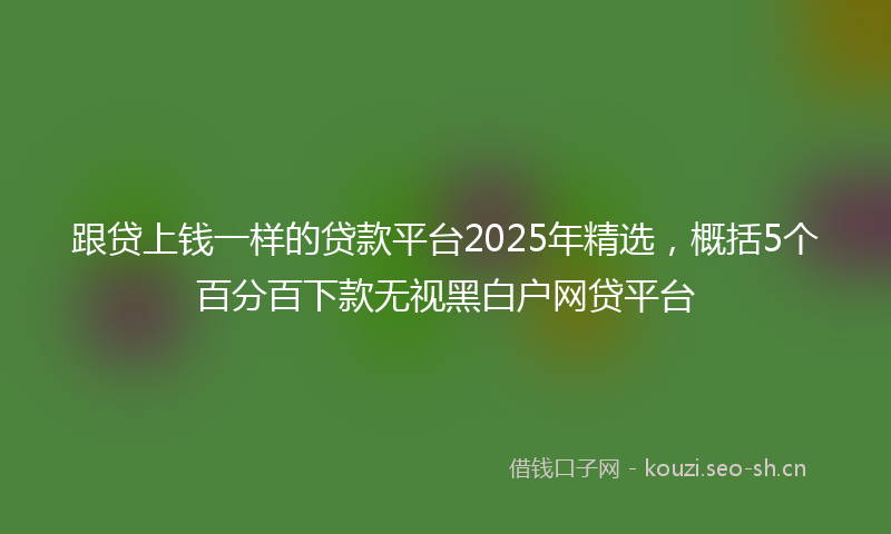 跟贷上钱一样的贷款平台2025年精选，概括5个百分百下款无视黑白户网贷平台