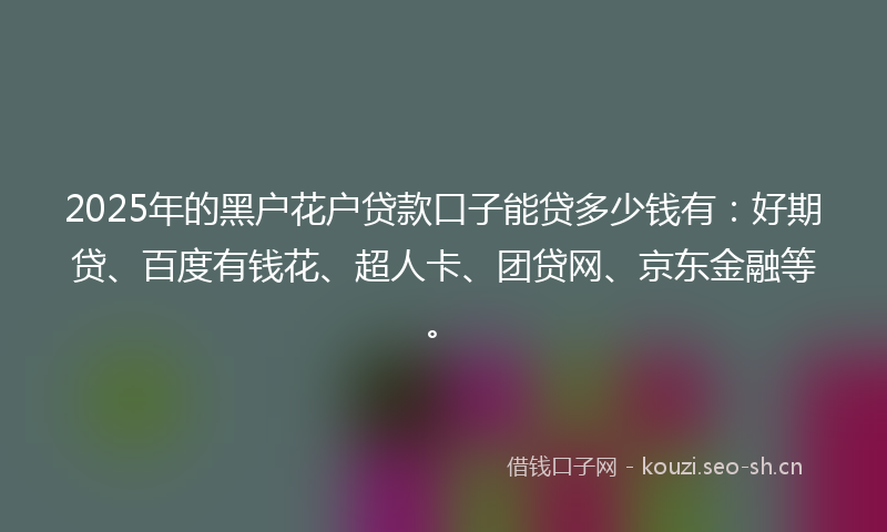 2025年的黑户花户贷款口子能贷多少钱有：好期贷、百度有钱花、超人卡、团贷网、京东金融等。