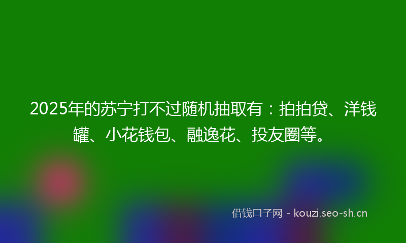2025年的苏宁打不过随机抽取有：拍拍贷、洋钱罐、小花钱包、融逸花、投友圈等。