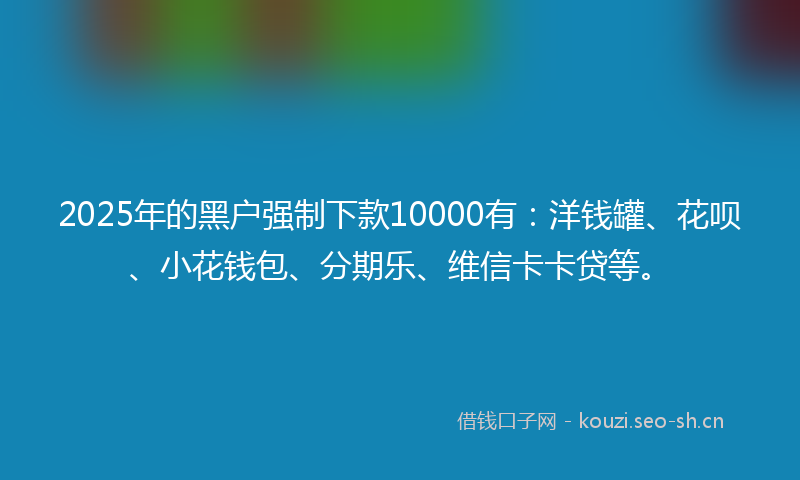 2025年的黑户强制下款10000有：洋钱罐、花呗、小花钱包、分期乐、维信卡卡贷等。