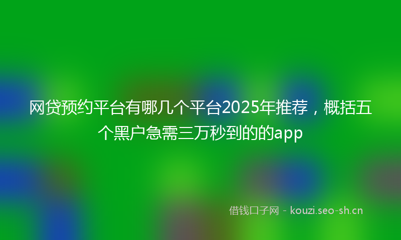 网贷预约平台有哪几个平台2025年推荐，概括五个黑户急需三万秒到的的app