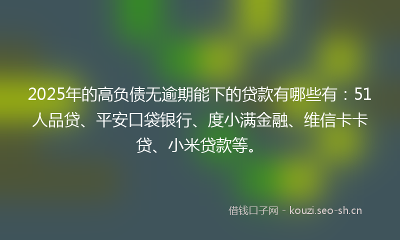 2025年的高负债无逾期能下的贷款有哪些有：51人品贷、平安口袋银行、度小满金融、维信卡卡贷、小米贷款等。