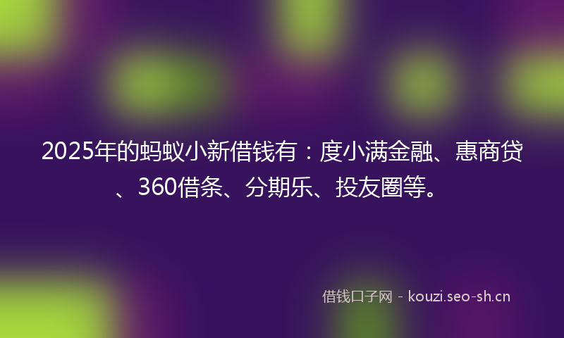 2025年的蚂蚁小新借钱有：度小满金融、惠商贷、360借条、分期乐、投友圈等。